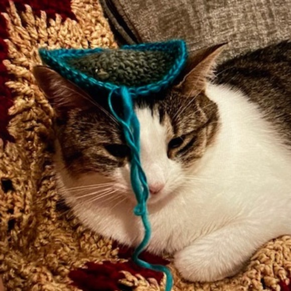 Purrrr⭐️I Found My Hat On Poshmark main image 7